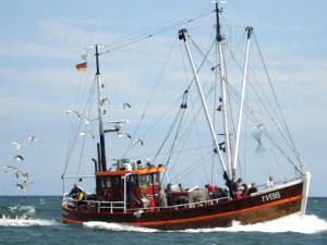 Fischerboot (Foto)